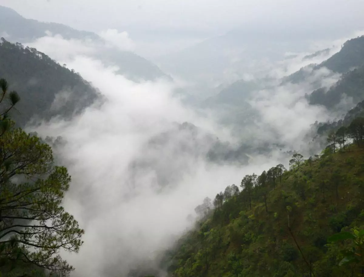 Uttarakhand’s biodiversity is under threat.