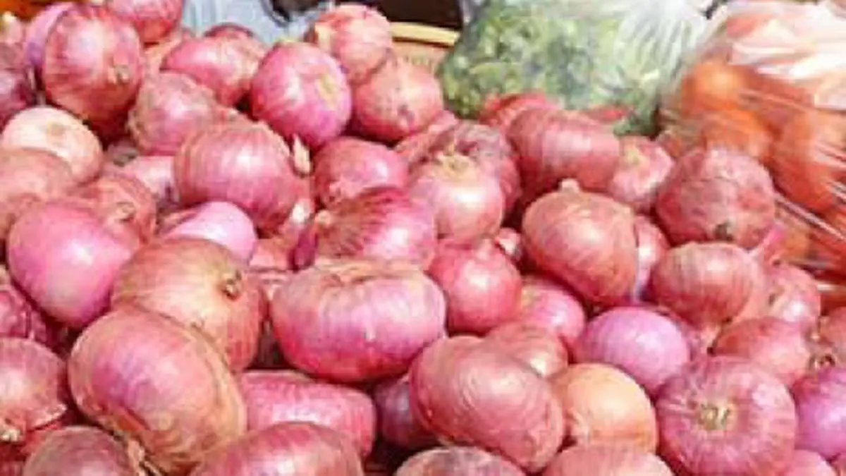 Know your onions The Hindu BusinessLine