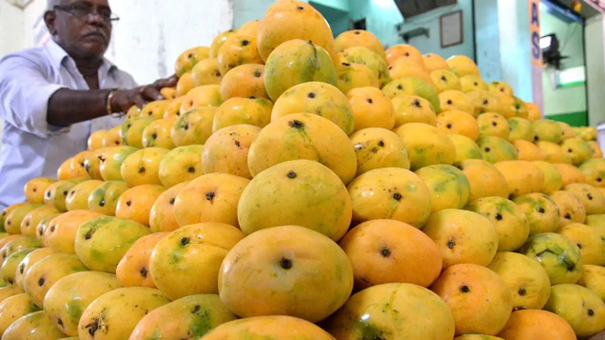 'EU’s ban on Indian mangoes, vegetables could hit free trade talks