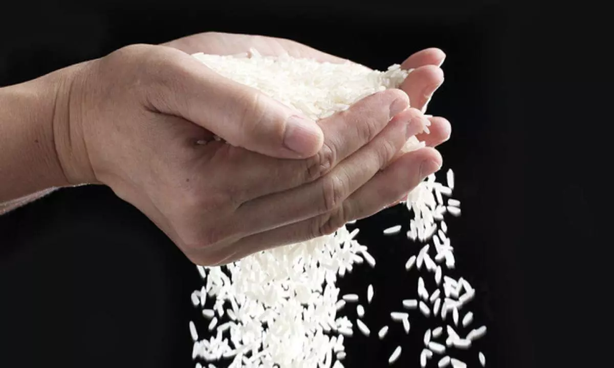 Рис кидают в воду. Рассыпанный рис. Рис рассыпался. Горсть риса. Разбросанный рис.