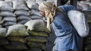 bl25_bmsur_Mixe+BL25_P3_CEMENT.jpg.jpg bl25_bmsur_Mixe+BL25_P3_CEMENT.jpg.jpg