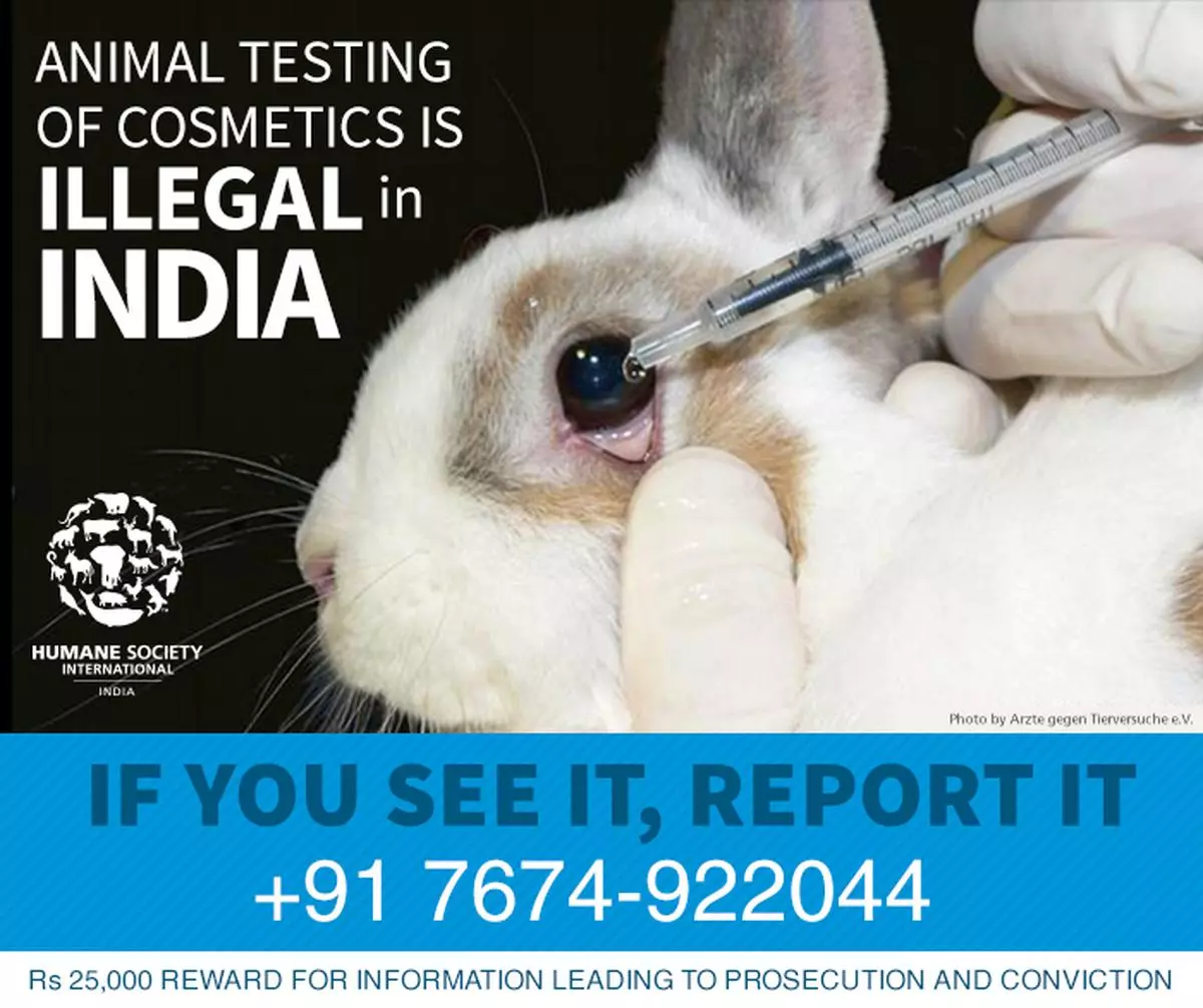 Helpline to tipoff against illegal animal testing for cosmetics - The Hindu  BusinessLine