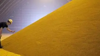 Fertiliser compan IPL is also into sugar, ethanol, dairy and cattle feed business Fertiliser compan IPL is also into sugar, ethanol, dairy and cattle feed business