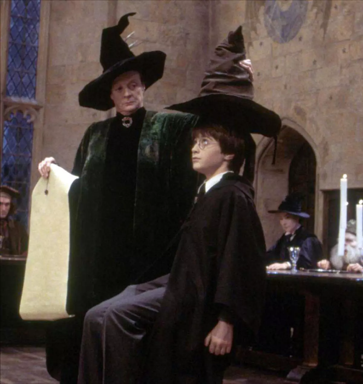 Harry Potter Costume Sorting Hat