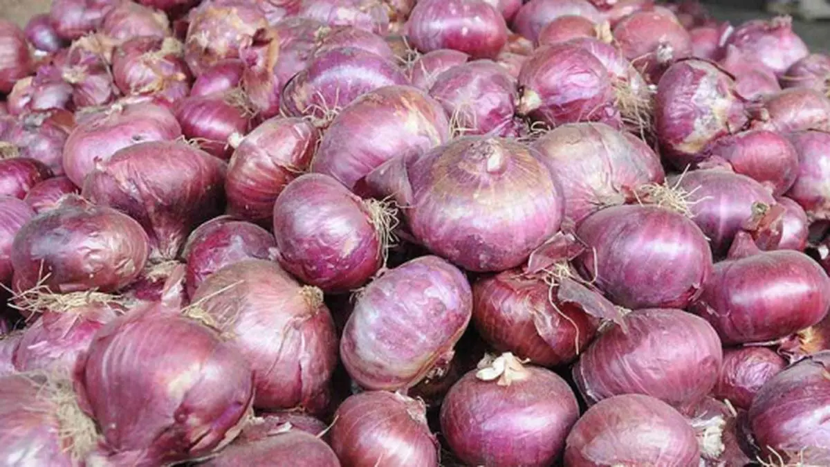 Punjab imports onions from Afghanistan amid soaring prices The Hindu