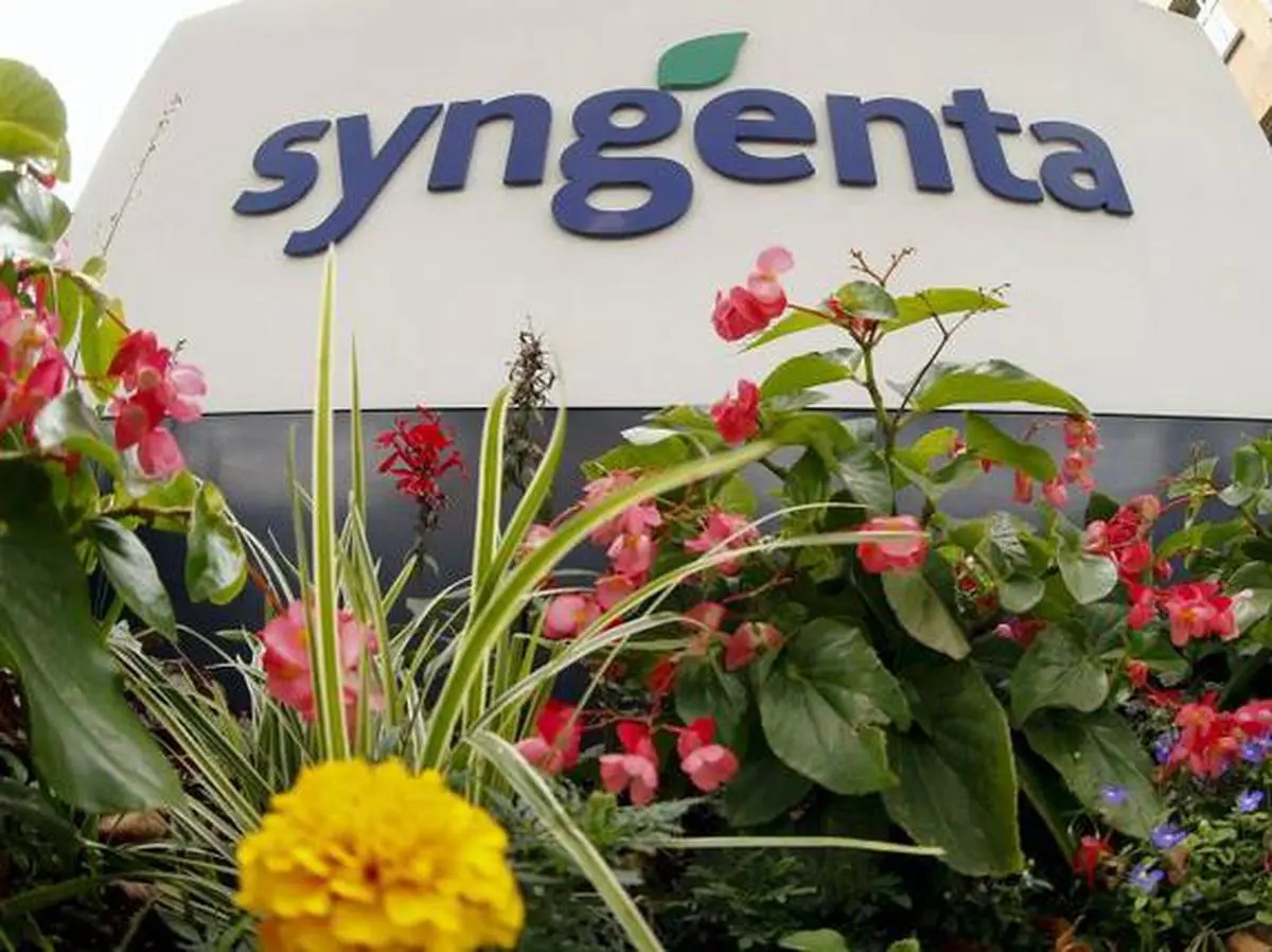 syngenta