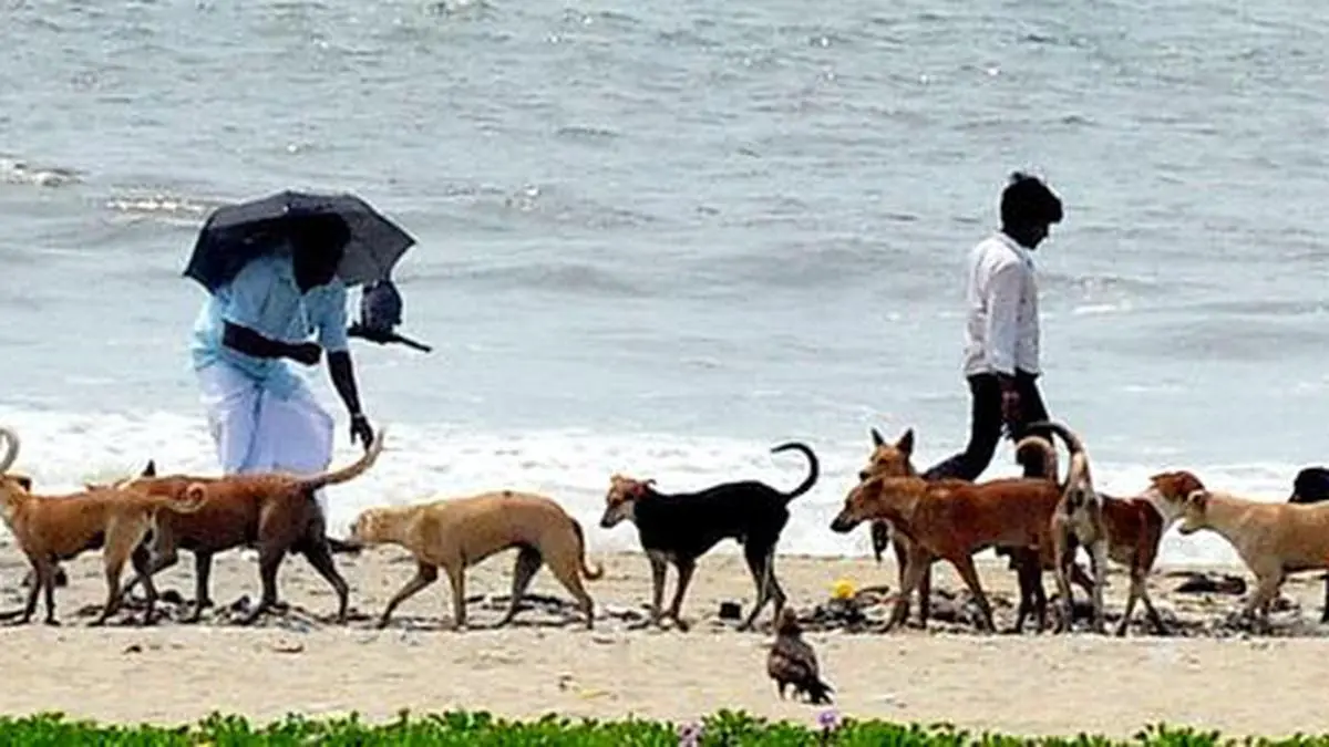 Bark, bite, bludgeon - The Hindu BusinessLine