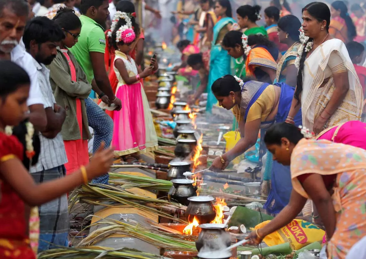 Pongal celebrated with traditional fervour in Tamil Nadu - The ...