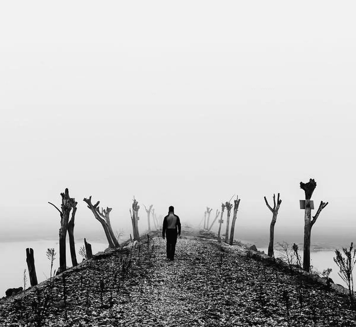 Fading to grey:  “Boundaries fall away between himself and everything, between existing and not. To be in the moment. That’s all he wants. No future, no past”  shutterstock/carlosobriganti