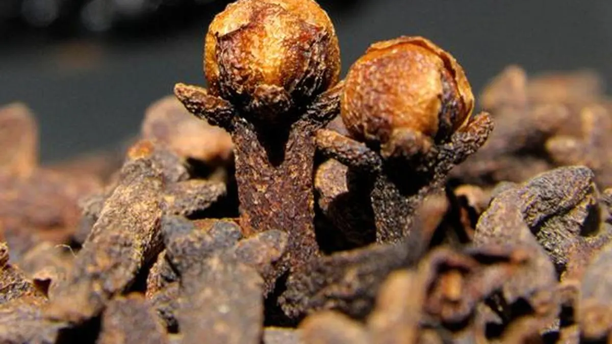 Cloves import soars in 2017 as output drops The Hindu BusinessLine