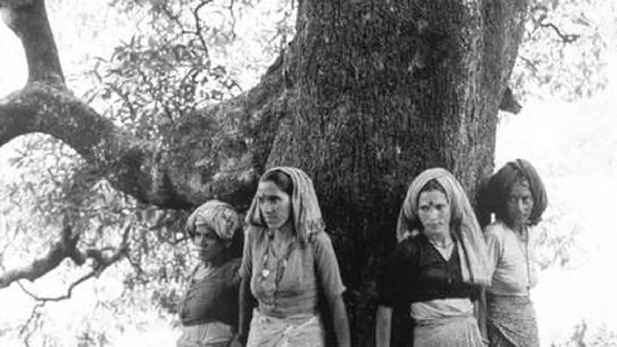 Chipko movement - The Hindu BusinessLine