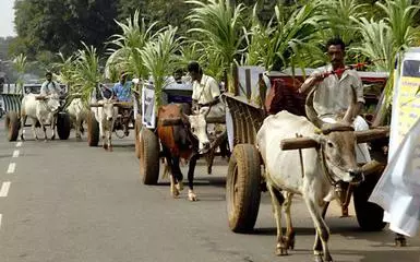 28% GST on animal drawn cart tyres will ruin rural logistics' - The Hindu  BusinessLine