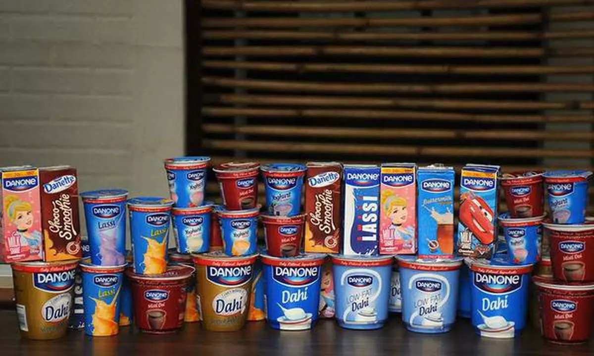 why danone quit dairy business in india - the hindu businessline