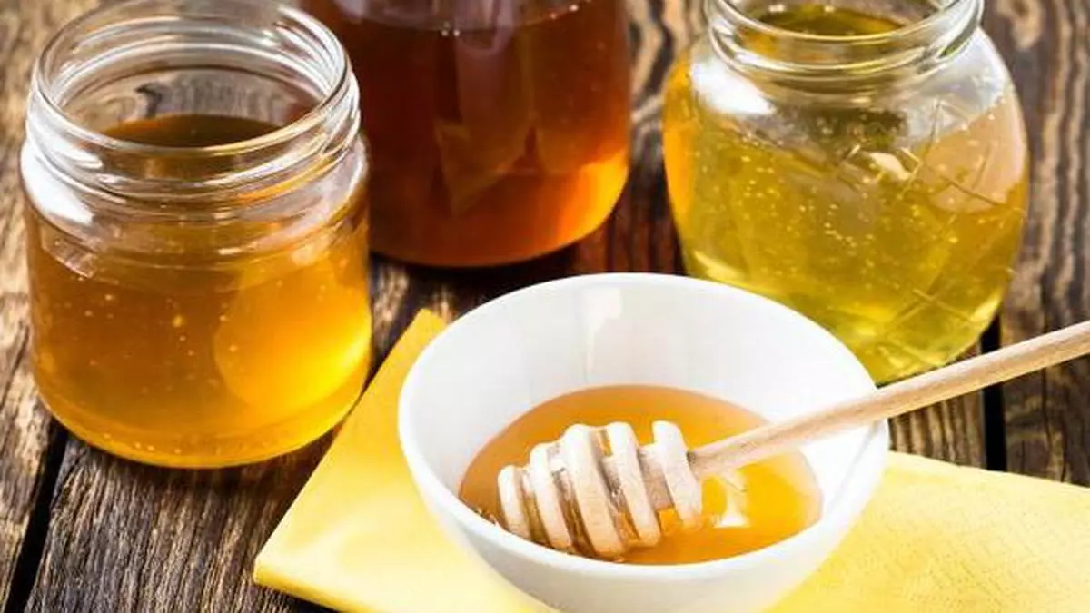 Honey production, honey-based food products to get MSME Ministry push ...