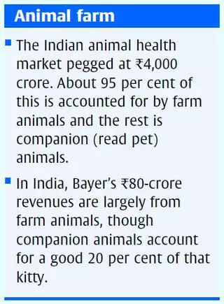 Promoting responsible behaviour towards animal health and well-being - The  Hindu BusinessLine