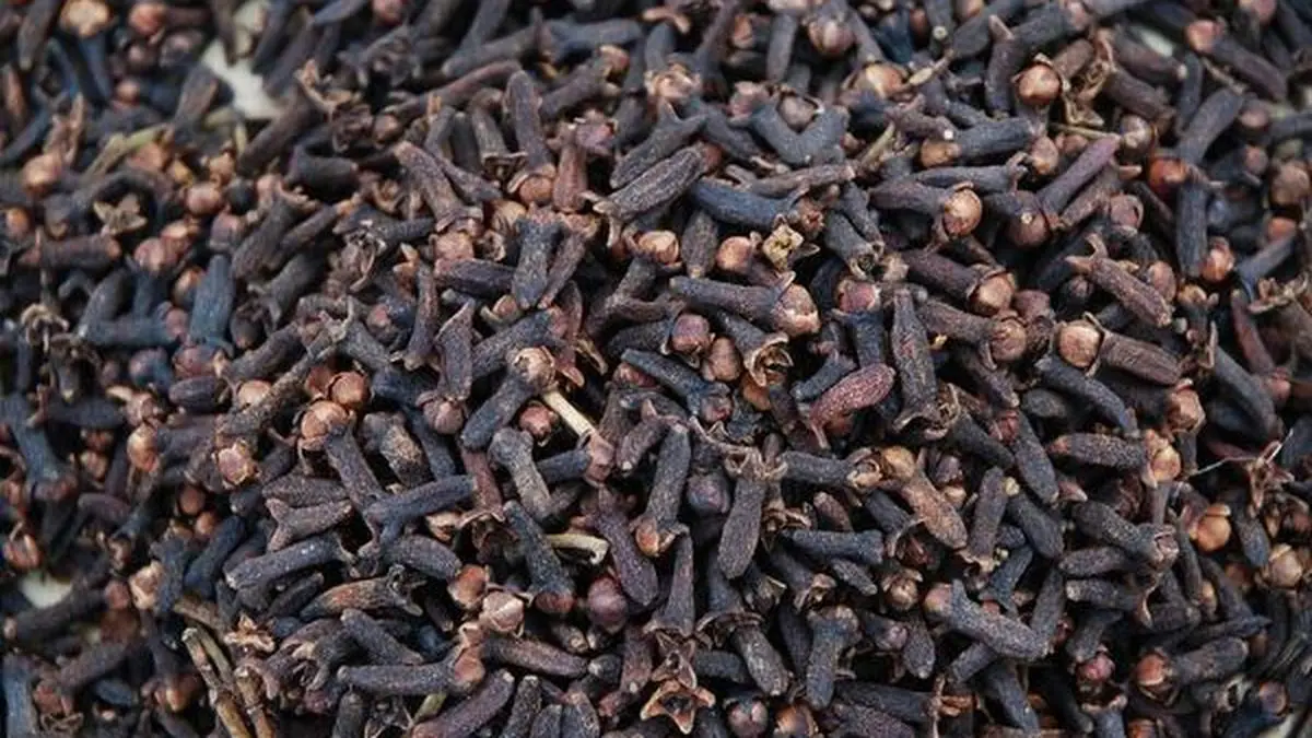 Demandsupply mismatch to make cloves costlier The Hindu BusinessLine