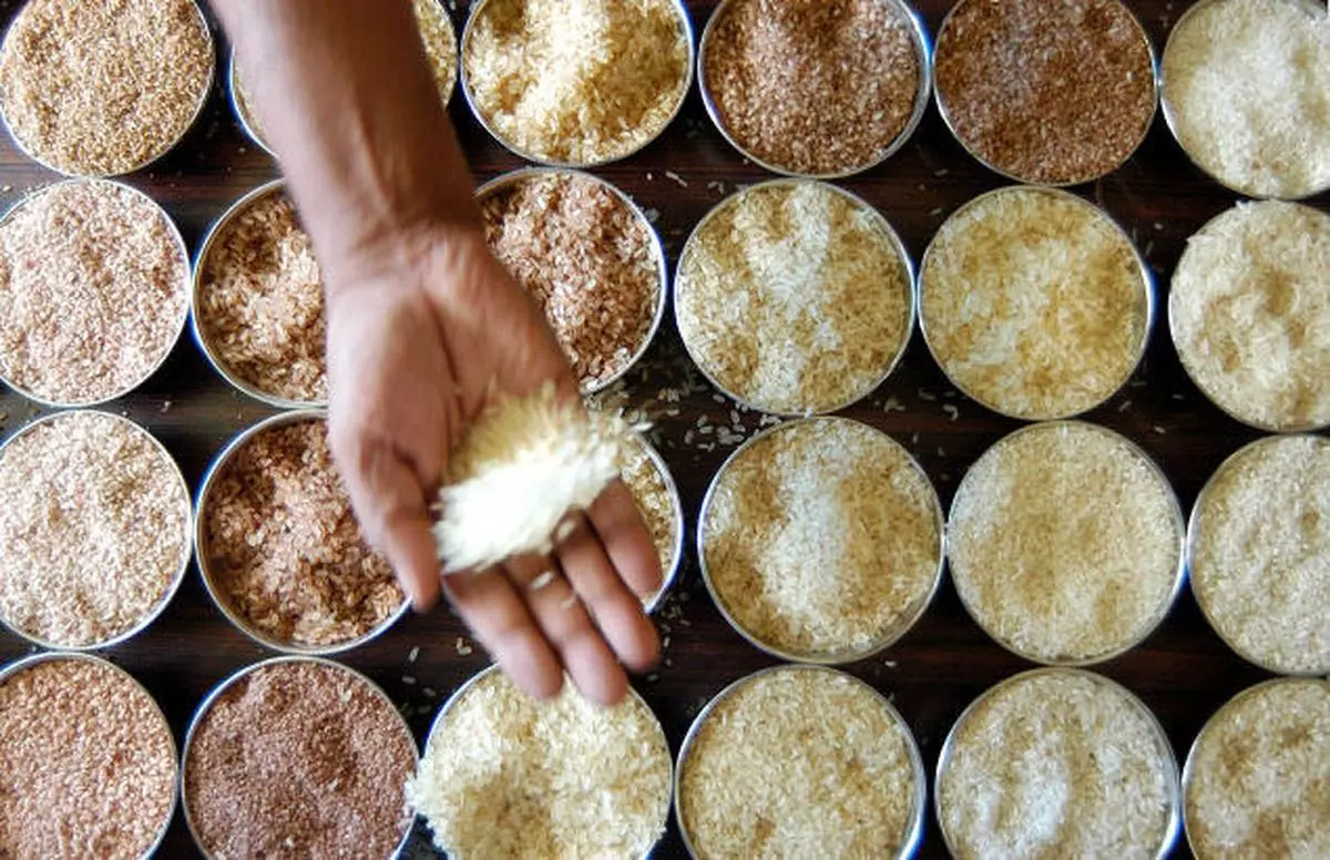 Different varieties of rice kept for sale at a shop in Kochi, Kerala. (file photo): K K Mustafah
