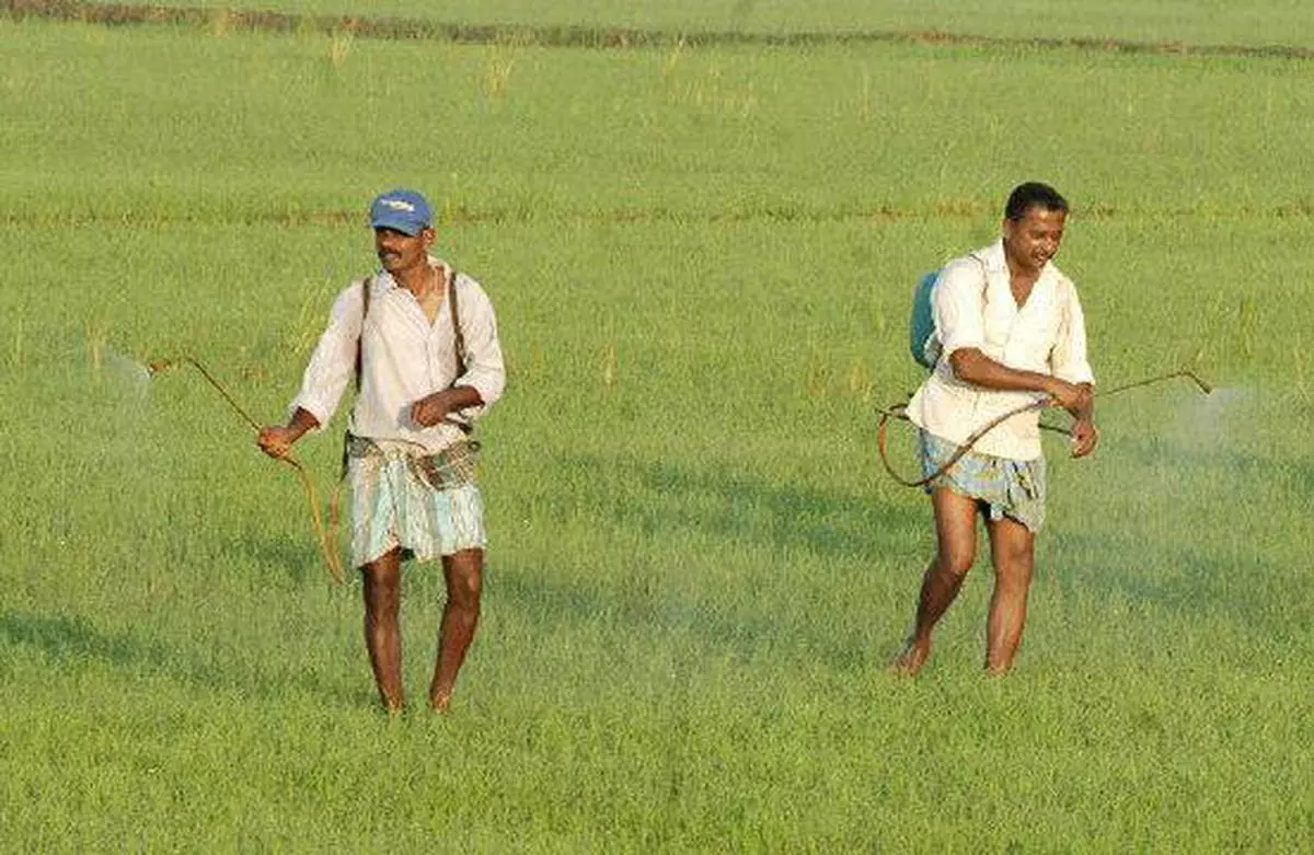 Farm workers in Kuttanad, the “rice bowl of Kerala.” - File Photo: H. Vibhu