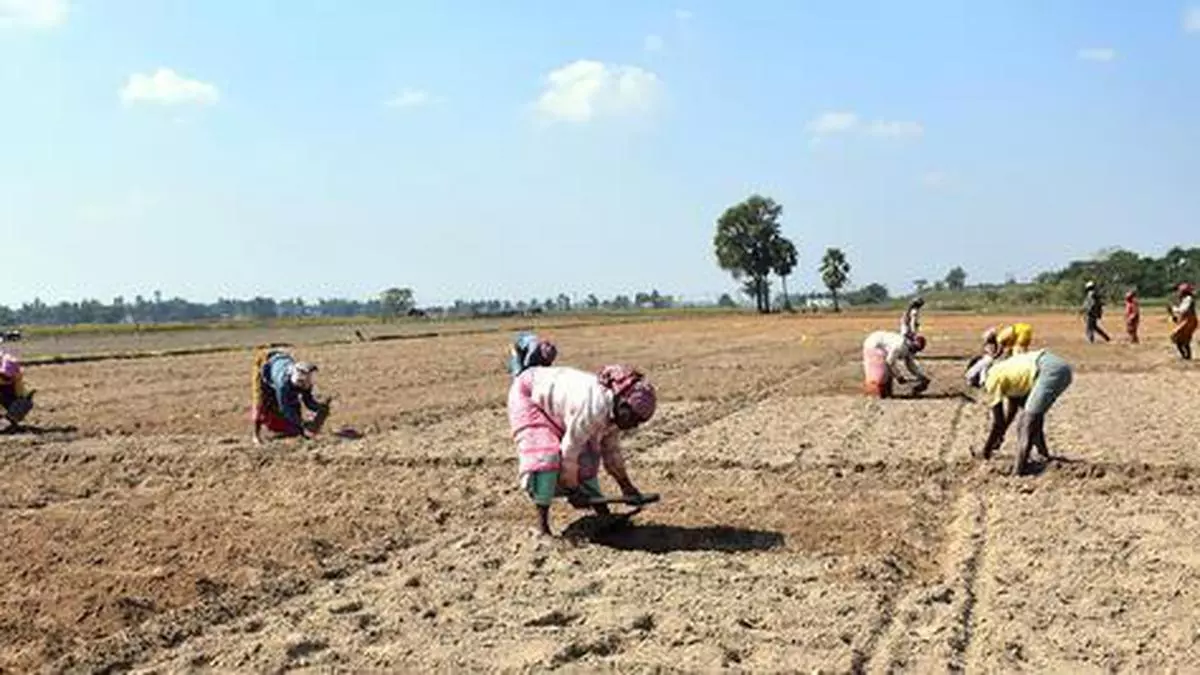 Meet on farmers’ rights - The Hindu BusinessLine