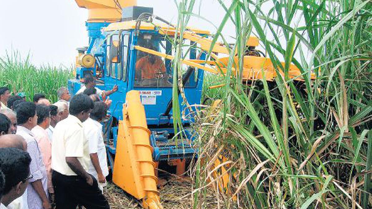 Subsidy For Sugarcane Harvesters In Maharashtra The Hindu Businessline