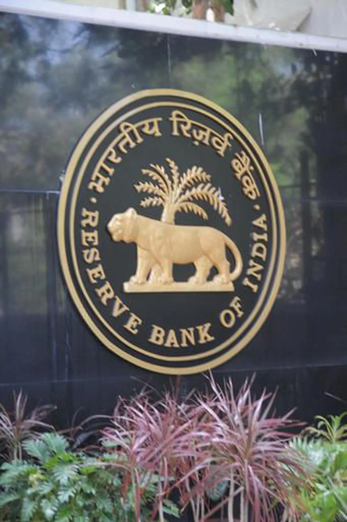 rbi-logo-3