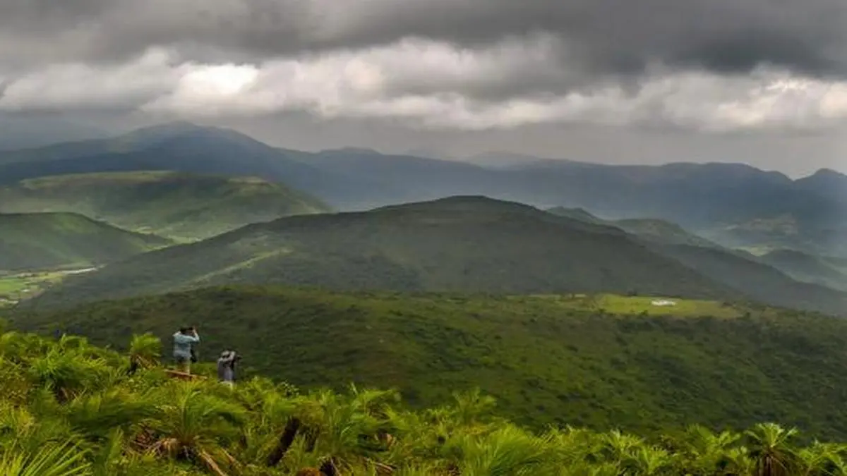 Photos of the day: August 25, 2021 - The Hindu BusinessLine