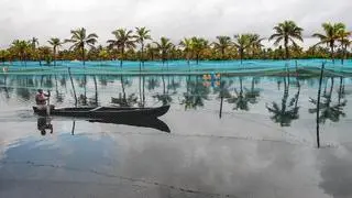 File Photo: A fisherman sails a boat inside his shrimp farm in Kollam, Kerala. The State government has offered incentives to encourage inland fish farming.