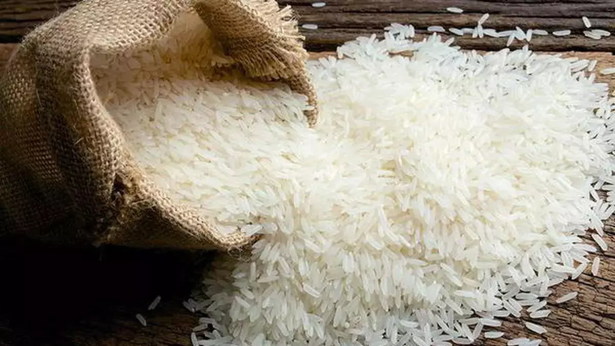India imposes 20% export duty on parboiled rice, MEP of $1200/tonne on  basmati soon - The Hindu BusinessLine