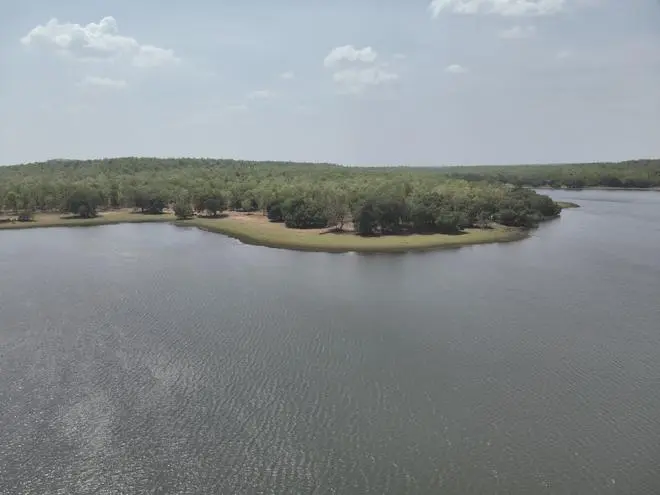 Image of Tadoba-Andhari Tiger Reserve captured by a drone Image of Tadoba-Andhari Tiger Reserve captured by a drone