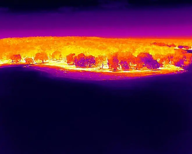 Thermal image of Tadoba-Andhari Tiger Reserve captured by a drone Thermal image of Tadoba-Andhari Tiger Reserve captured by a drone
