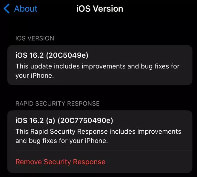 Rapid Security Response update on 16.2 beta