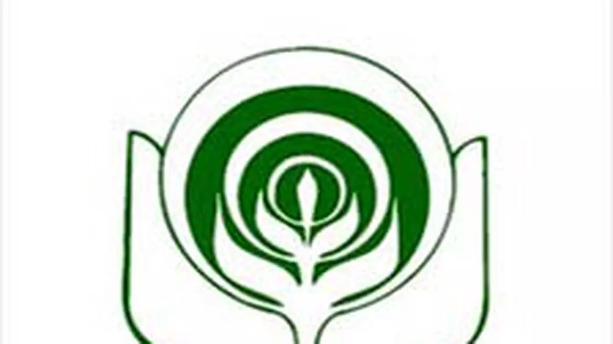 Namsai Organic Spices And Agriculture Products Company Limited