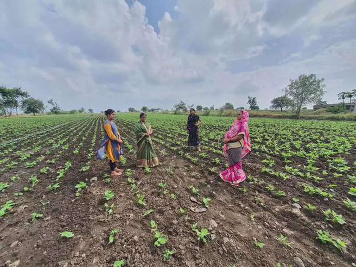 Women farmers in Uttar Pradesh, Maharashtra and Gujarat are playing an active role in marketing of agri produce