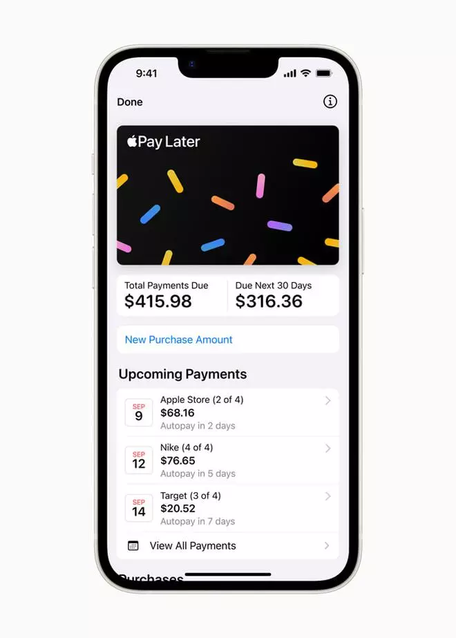 Apple Pay Later preview