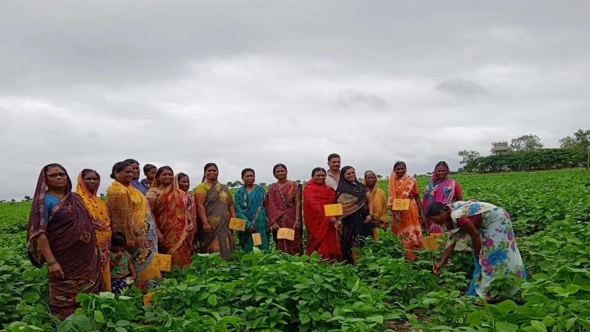 Can climate-resilient farming become a profitable venture? - BusinessLine