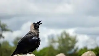 Getty Images/iStockphoto Getty Images/iStockphoto