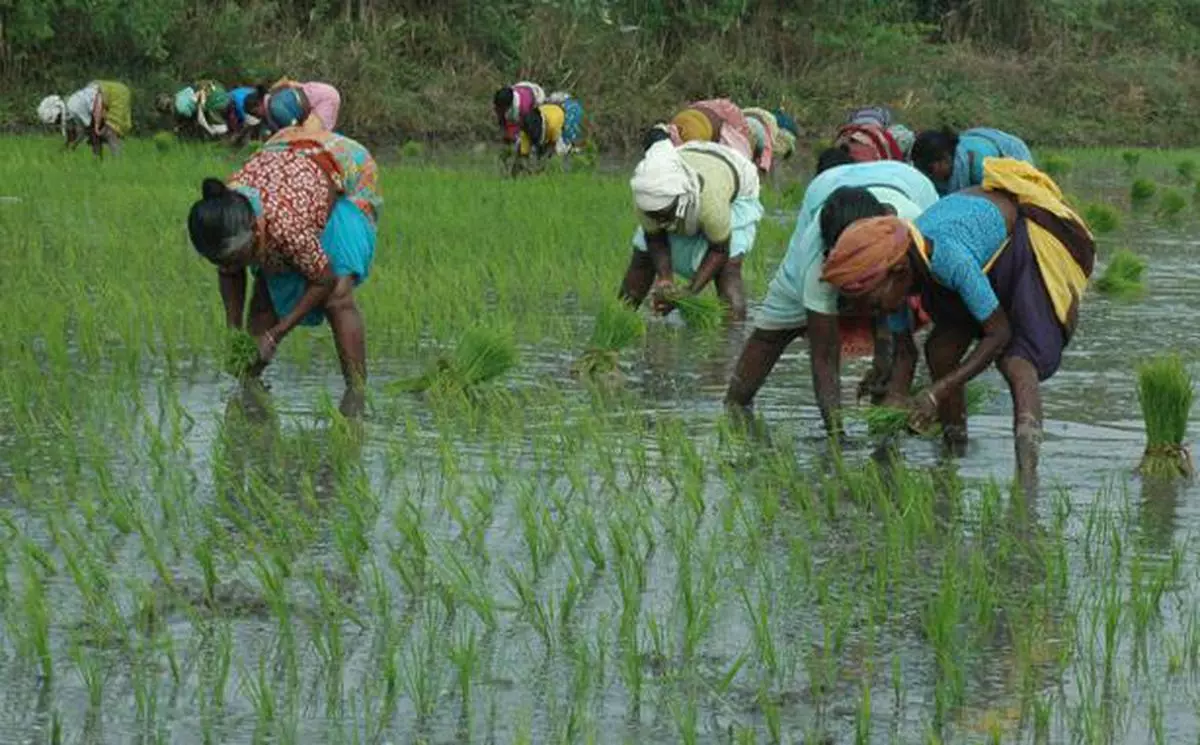 Retail Inflation For Farm, Rural Labour Increases Further In September ...