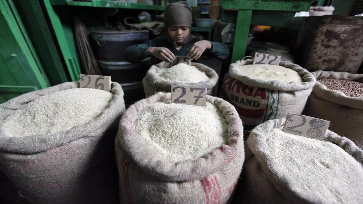 India bans export of broken rice to boost domestic availability - The ...