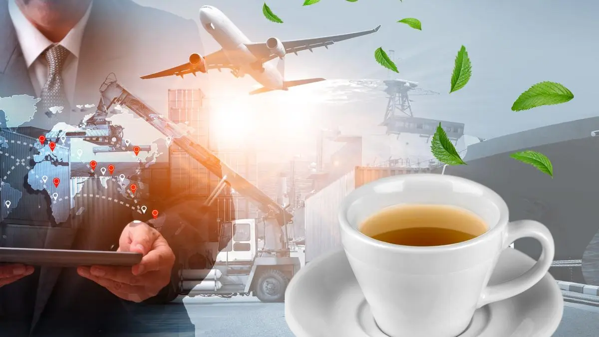 Israel-Hamas conflict seen hurting orthodox tea shipments from Kochi auctions 