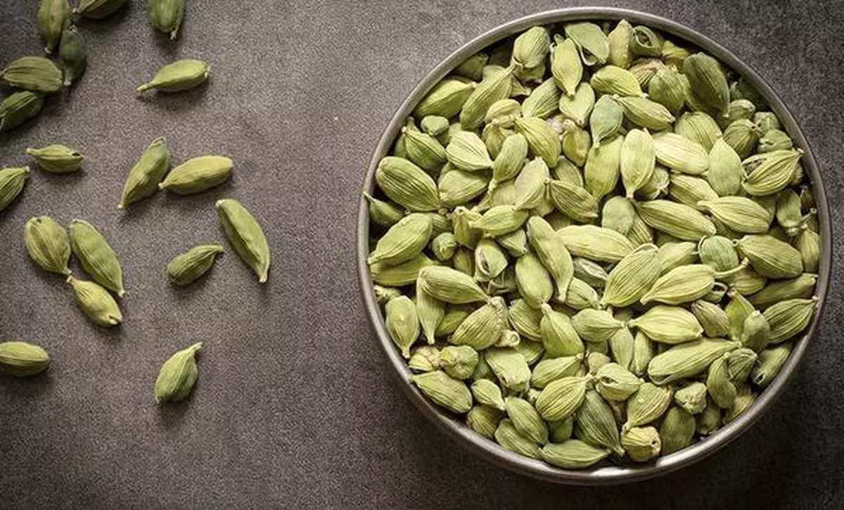 500 Cardamom Pictures HD  Download Free Images on Unsplash