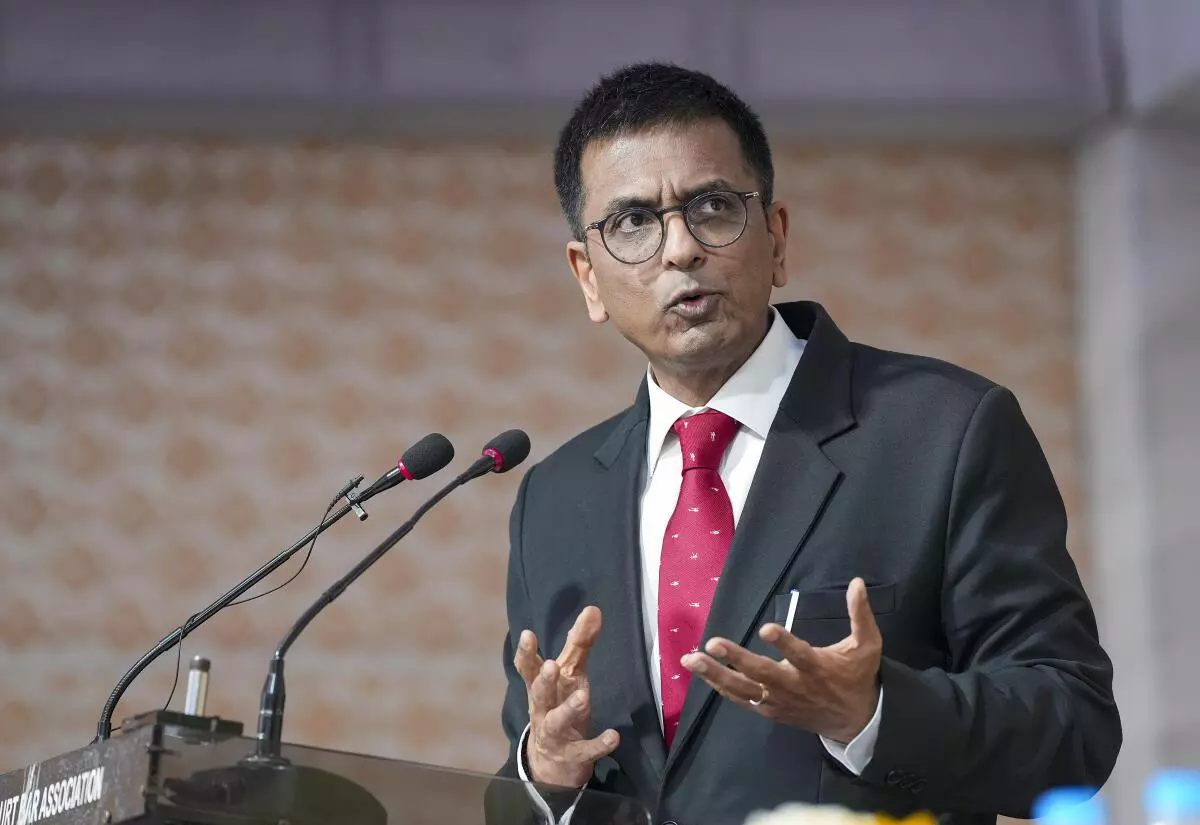 Chief Justice of India DY Chandrachud (PTI Photo)