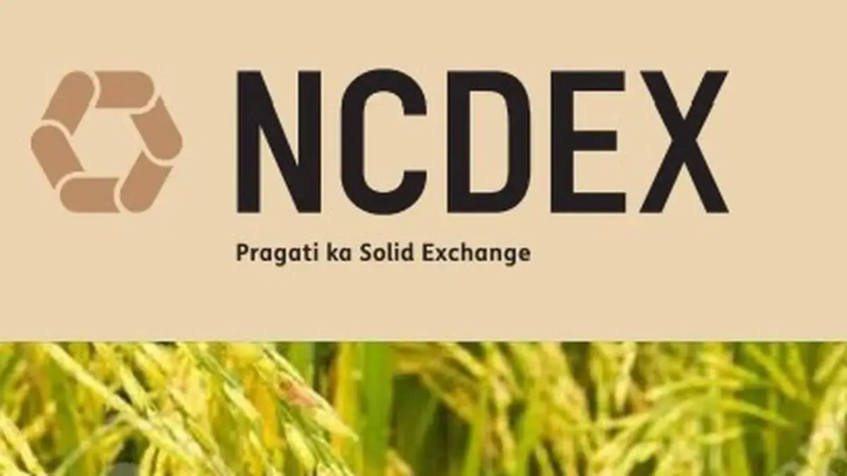 NCDEX may sit out weekly expiry race