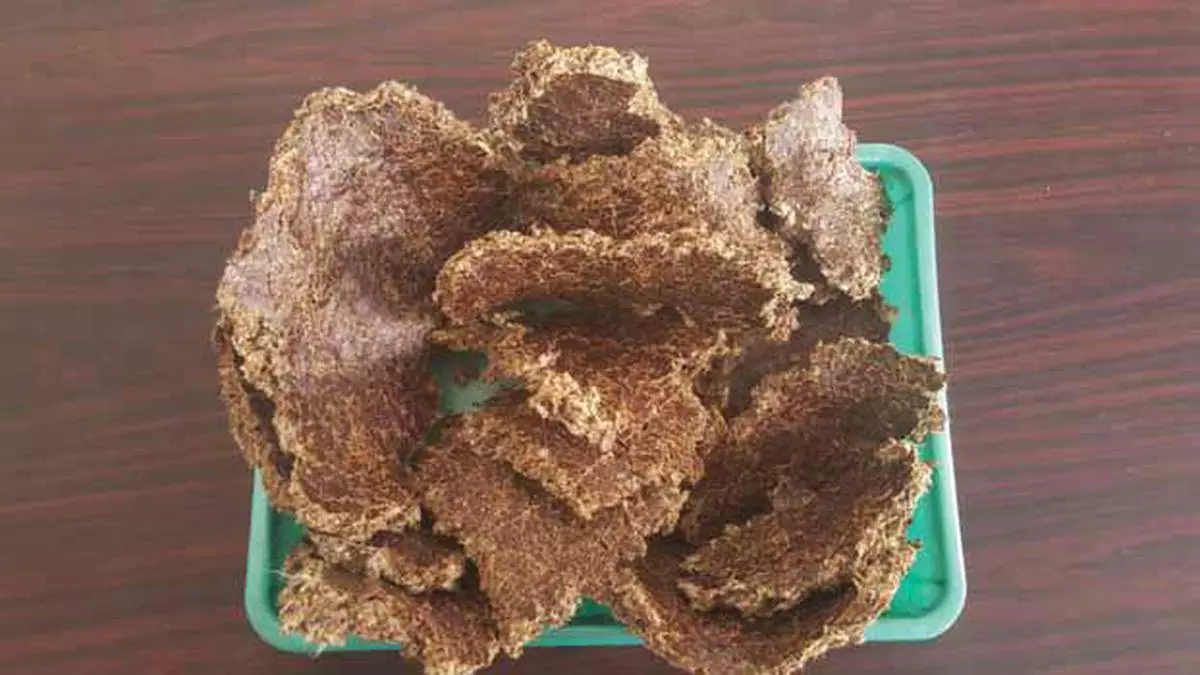 Cattle Feed Cotton Seed Cake Manufacturer Supplier from Bikaner India