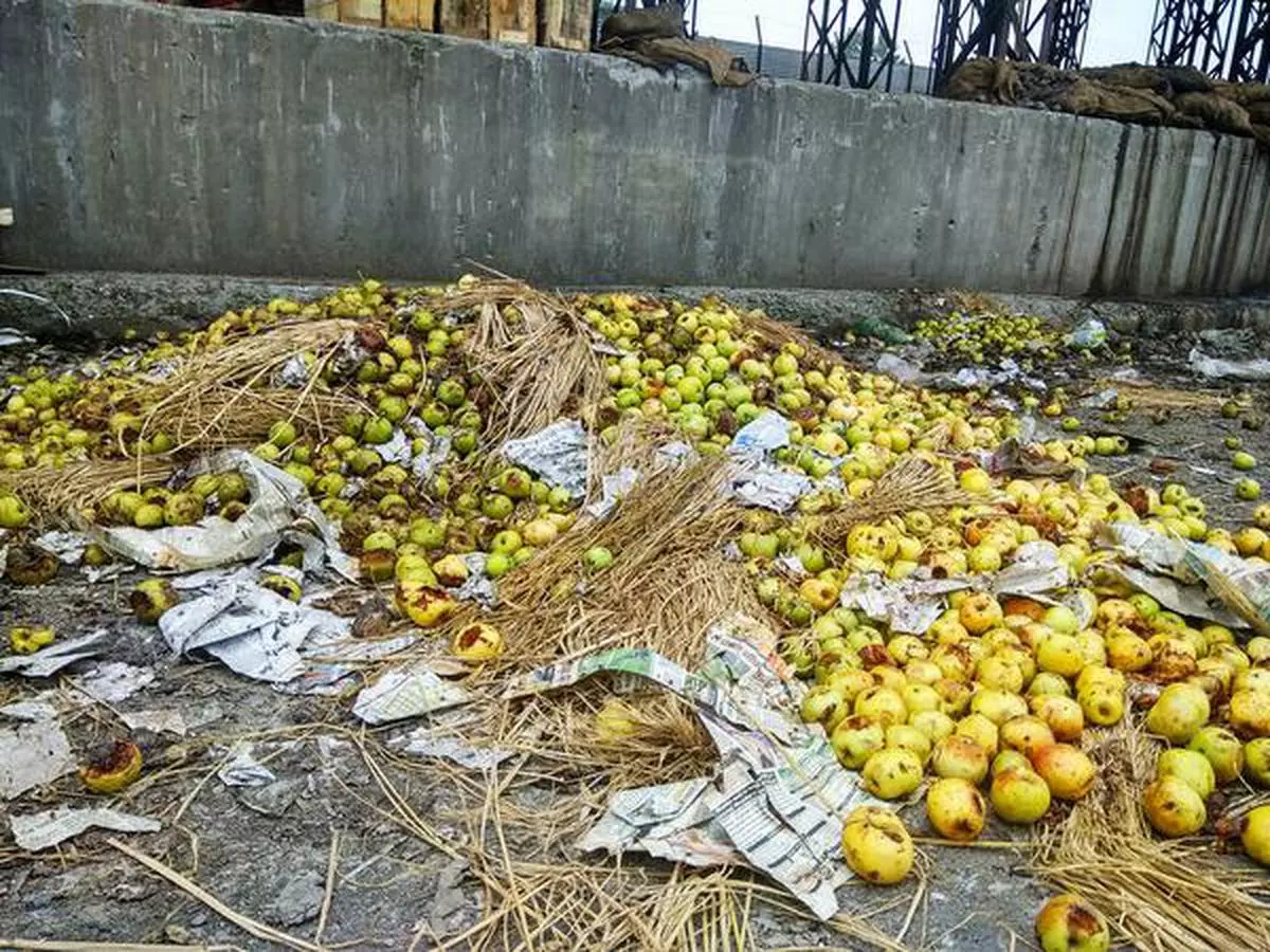 Bitter harvest  Rotten pears and apples discarded at the Parimpora market in Srinagar