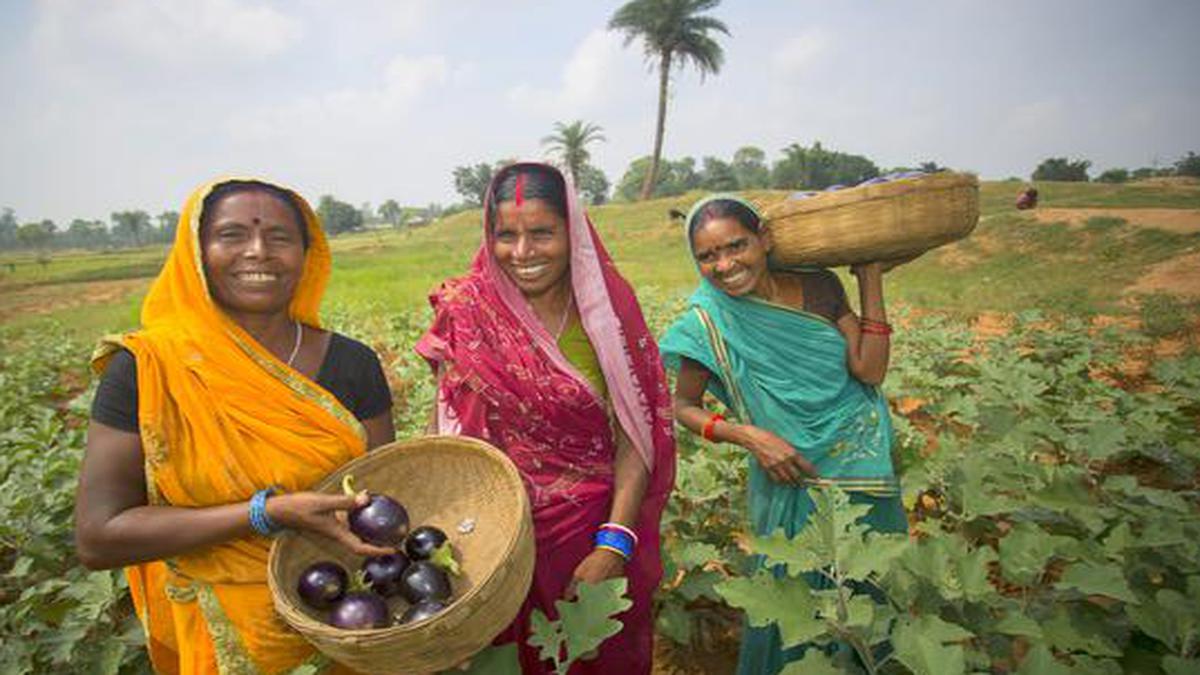 Gujarat To Push For Organic Farming Through School Text Books The Hindu Businessline 