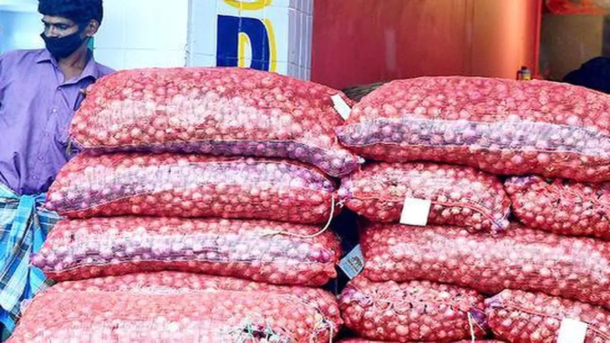 Onion prices crash 3040 in 10 days The Hindu BusinessLine