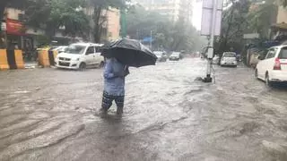 Mumbai Rains: Parts of Mumbai, Thane, Vasai-Virar Receive Rain, IMD  Predicts More Rainfall, Traffic Jams Due to Low Visibility