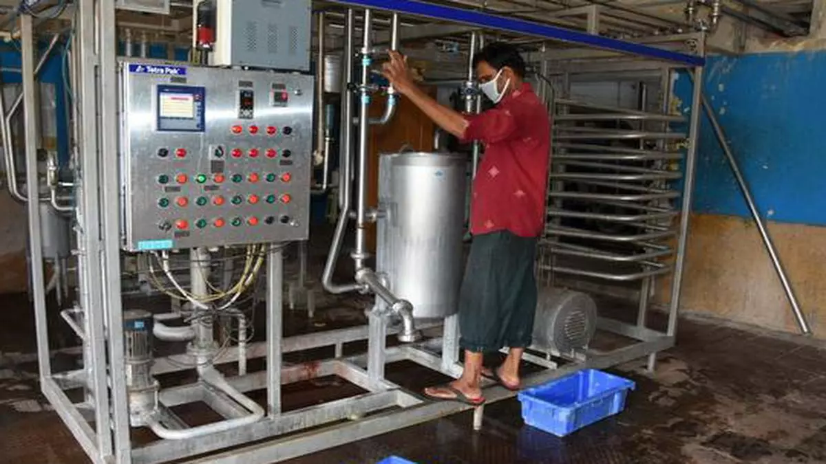 vijaya dairy business plan