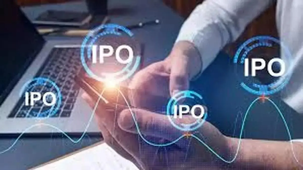 Digital IPO boom sparks reverse flipping trend: Bay Capital