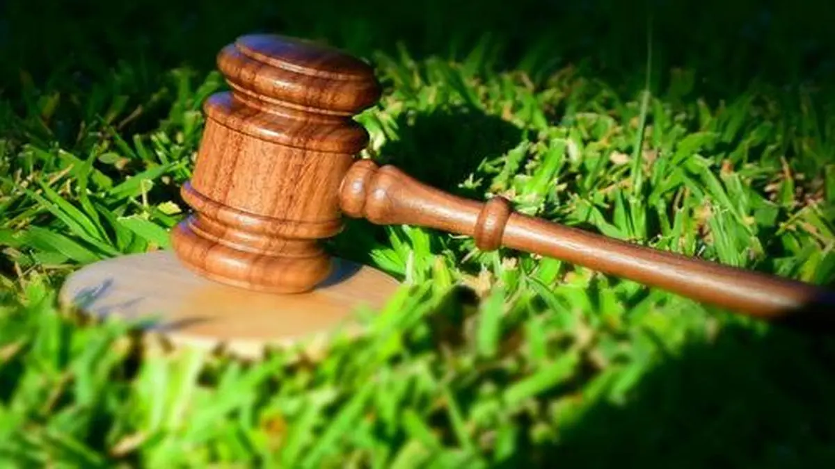 Quikr Realty empanelled by SEBI to liquidate properties of stressed companies The Hindu